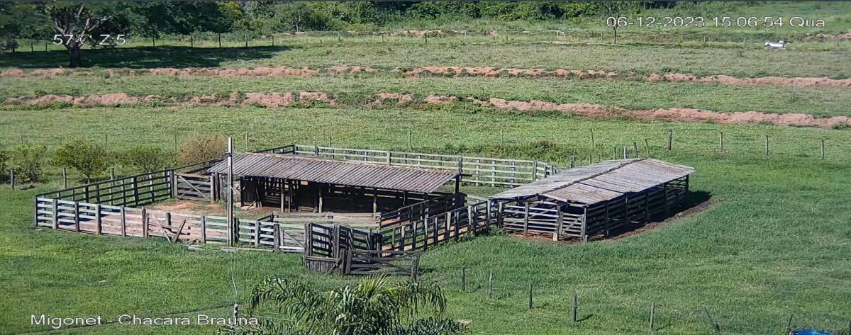 Fazenda à venda - Foto 5